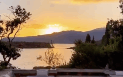 Soothing Design Layouts